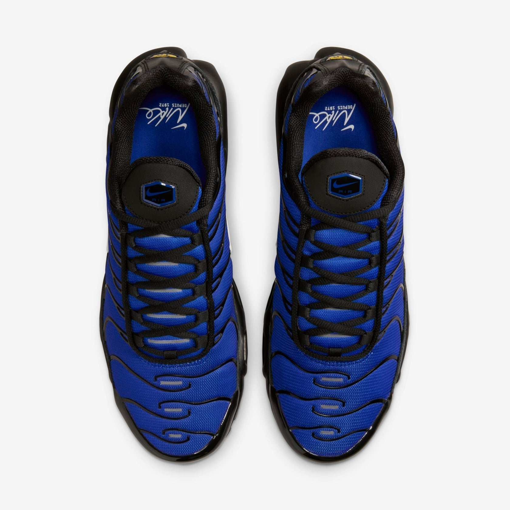Nike Air Max Plus Air Max Plus Prm Blue