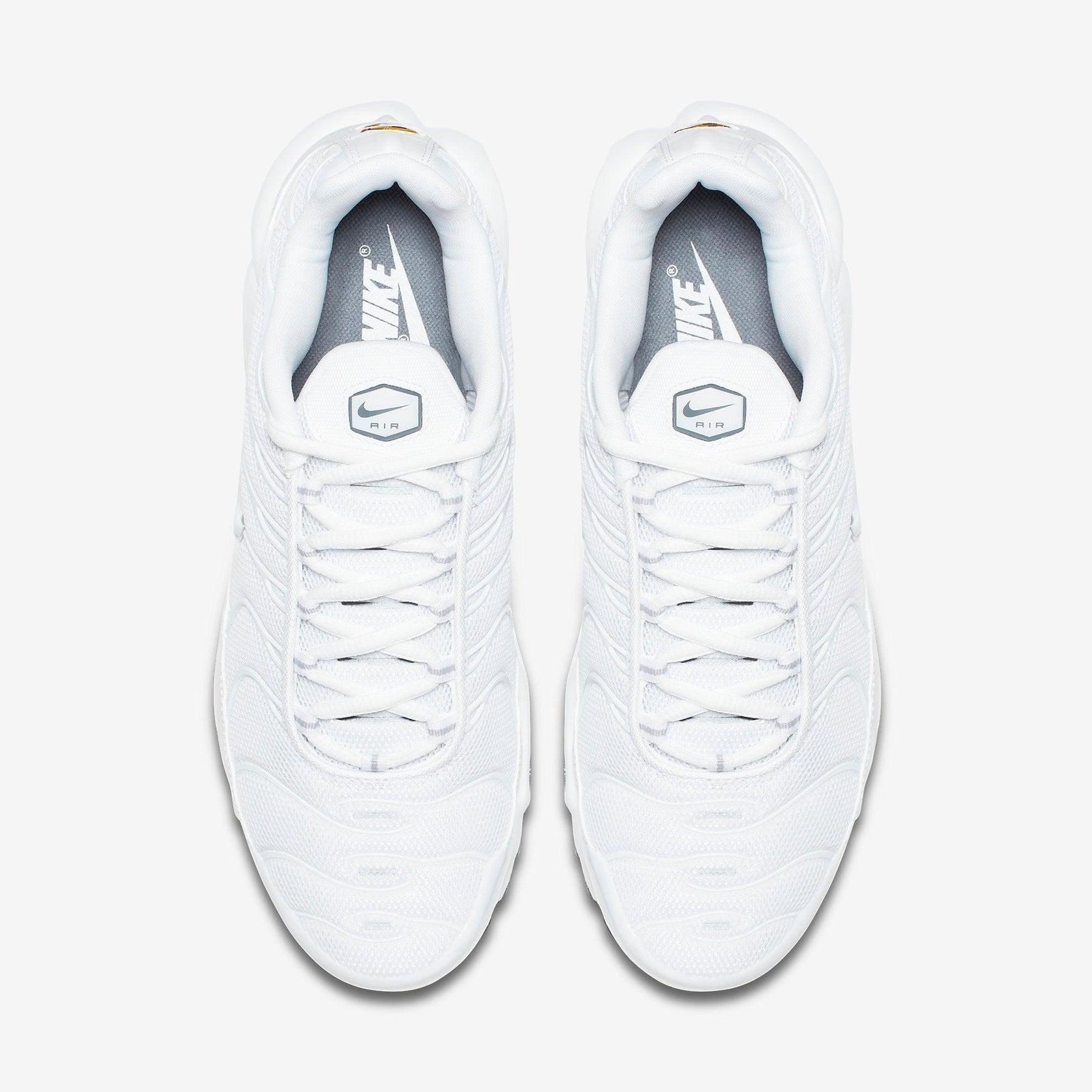 Nike Air Max Plus TN – White